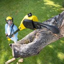 Lawn Pest Prevention in Fort Deposit, AL